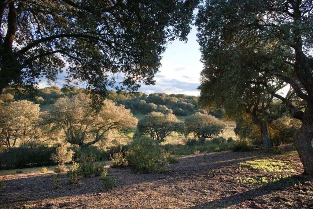 Casa rural en una finca de 300 ha reg 49426 Manganeses de la Polvorosa Exterior foto