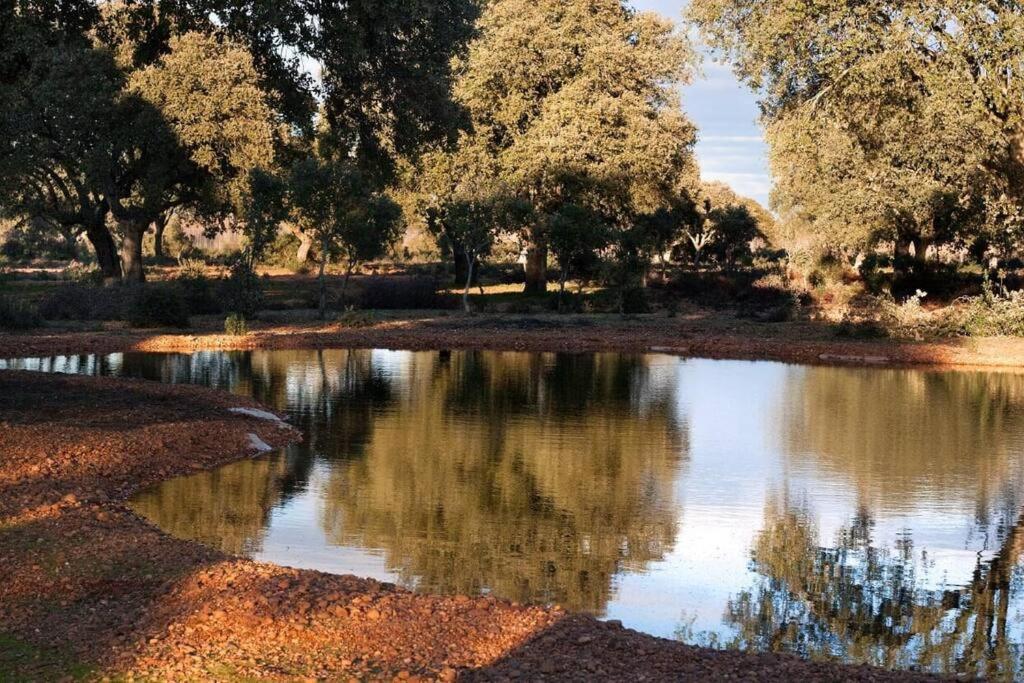 Casa rural en una finca de 300 ha reg 49426 Manganeses de la Polvorosa Exterior foto